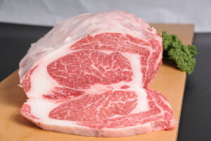 F{a  [XXe[L 1i250gjԋ  Ԑg јa h  Hi  O Ⓚ 蕨 i v[g Mtgɂ