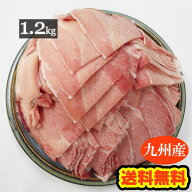 【送料無料】九州産 豚モモ切り落としメガ盛り 【1.2kg】200g×6袋の小分けで便利！■豚もも 豚こま 豚コ…