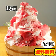 【送料無料】九州産 豚こま切れ肉 メガ盛り 1kg＋500gで1.5kg■豚小間 豚コマ 切り落とし 豚肉 国産 食品…