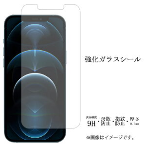 iPhone 12 pro max iPhone12proMax KX V[ tی ʕیtB V[ tی tB t dx9H XN[K[h  ی KXtB ACtH12 v }bNX docomo a