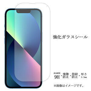 iPhone 13 pro max iPhone13proMax KX V[ tی ʕیtB V[ tی tB t dx9H XN[K[h  ی KXtB ACtH13 v }bNX docomo a