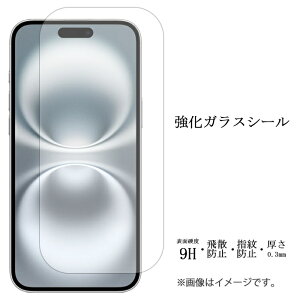 iPhone 16 plus iPhone16plus KXtB tی یtB dx9H wh~ Uh~ ACtH16 vX docomo au softbank tB V[  fBXvC V[ tB