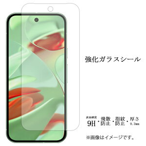 Google pixel9 KXtB tی یtB dx9H wh~ Uh~ pixel 9 O[O sNZ9 pixel9tB pixel9V[ tB V[  fBXvC V[ tB