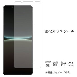 Xperia 5 IV SO-54C SOG09 A204SO XQ-CQ44 KXtB tی یtB dx9H wh~ Uh~ so54c GNXyA docomo softbank au tB V[  fBXvC V[ tB