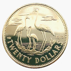 on} 2H̃t~S 20h GUxX 1973N 2.95g 14 Gold CG[S[h RNV
