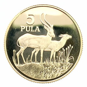 {ci 5v 1986N 15.8g 22 CG[S[h RNV AeB[NRC Gold