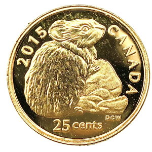 Ji_ r[o[ 2015N 0.5g GUxX  24 CG[S[h RC RNV Gold