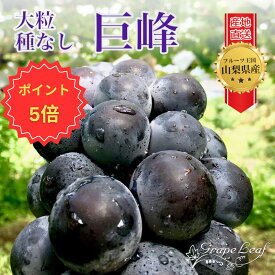 [5月先行予約開始] [数量限定] 巨峰 ぶどう 種なし 山梨県 ぶどう 1kg 葡萄 ブドウ 産地直送 2房 ギフト プレゼント 贈り物 Kyoho Grape [1房 400-600g] [8月下旬発送予定]