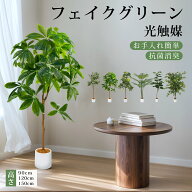 ＼★限定！クーポン利用で10％OFF＋最大100%Pバック★／フェイクグリーン 光触媒 ウンベラータ パキラ ヤ…