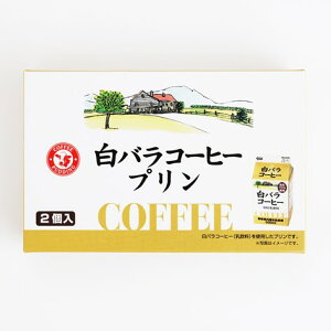 yoR[q[v(2)z󐻉 oR[q[ v mَq XC[c RA  yY  Mtg 킢