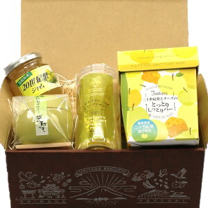 y\ỈَqMtgZbgzRA  \I Ƃo[ W R[Q[[ ł  yY MtgZbg 