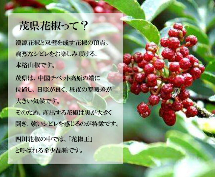 楽天市場 茂県 花椒ホール 300ｇ 最高級 の しびれ と 香り 0215 三明物産 調味料 中国食材 食品 中華料理 四川料理 本場 山椒 大容量 しびれ 麻辣 プロの味 直輸入 香味料 ホワジャオ ホワジョウ Sanmei 小熊猫キッチン