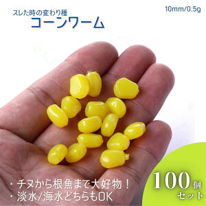 [ \tgA[ R[ w`ނ C k `k   o JTS   ti V[oX 100Zbg