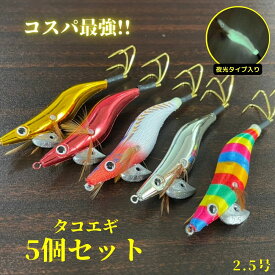 タコエギ 5個セット 釣り具 エギング ルアー ラトル 餌木 イカ 蛸 2.5号 激安 蛍光 安い 人気 船 夜光 グロー 赤 エビ 針 おすすめ ロッド イカ カニ 初心者 入門 タコベイト タコ釣り 船タコ エギ マダコ イカ釣り 送料無料