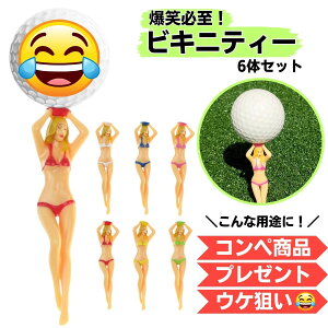 _2020~24IP10{^St eB[ 6{Zbg v[g  Ry l^ ii ܕi Q }`J[ EP_ ʔ  OeB[ fB[X K[Y ZNV[ 