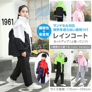 yP5UP+ő2000~OFFzCX[c LbY ㉺ hZΉ ZbgAbv CR[g Xgb` ъԊwZ J hct ̎q j̎q 킢 h ʉ ʊw  w  