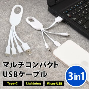 USBP[u [d [dR[h RpN g Type-C Lightning Micro-USB iPhone iPad Android 