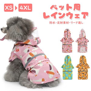 y25P10{+10%OFFN[|zybgpCR[g CR[g ^ ^ ^ 4XLTCY  L hbOEFA LbgEFA pCR[g ybgCR[g Sh