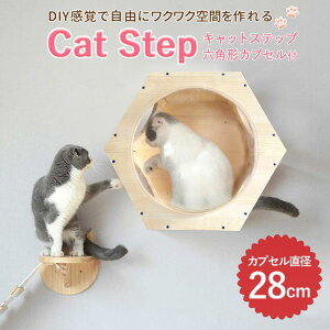yP10{×ő2000~OFFN[|zLbgXebv  Ǖt Lp nEX nbN LbgEH[N  L 28cm I I Lbg^[ ؐ  diy xbh