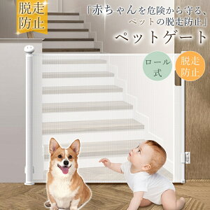 ySS P10{×ő2000~OFFN[|zybgQ[g xr[Q[g [ Ch bV Ki Ki [^Cv Lk 莮 140cm bN@\  䏊 L 