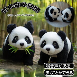 ʂ p_ l` j Mtg v[g  j TvCY a hV̓ c c ӂӂ  킢  ct ۈ牀 Mtg ߋ p[eB[ 