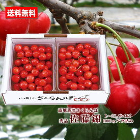 さくらんぼ 佐藤錦 山形県産 秀品 L～2Lサイズ 1000g パック 化粧箱 露地栽培 あまい おいしい チェリー 送料無料 贈答用 ご家庭用 プレゼント 手土産 お祝い お中元