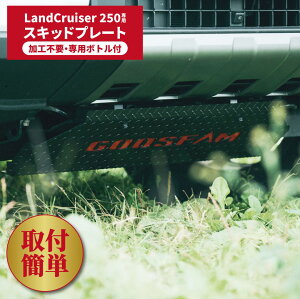 hN[U[250XLbhv[g@N250@A_[K[h GOOSFAMIWiI