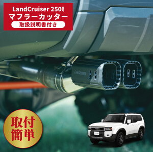 N250 }t[Jb^[ tȒP hN[U[250 JX^ ANZT[ hXAbv g^ TOYOTA }t[ GDJ250 TRJ250