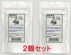 ݁@2ZbgϏ܋pN@20gi100j