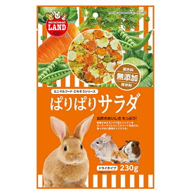 アウトレット取り扱い終了の為 マルカン　ぱりぱりサラダ　230g　MR－529　賞味期限27.05以降