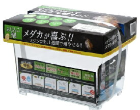 カミハタ みじんこ畑（みじんこ専用飼育セット）