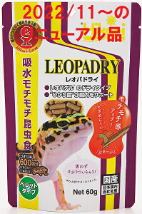 L[@IphC@60g@``Abv2022/11ȍ~j[Ai