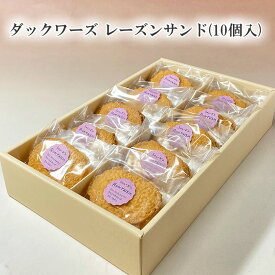 ダックワーズ レーズンサンド 10個入 送料込！　内祝い 御礼 お返し 母の日 ギフト プレゼント 出産内祝 お供え