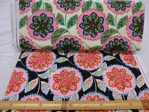 amy butler /Charisma