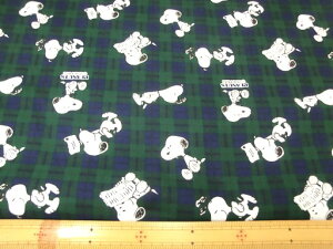 Xk[s[/`FbN@yPEANUTSz