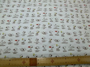 Xk[s[yPEANUTSzEwObYAbXobNEٓ܁Ȇ܁EВ܂ȂǂɁI