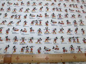 ~bL[}EX/V[`O@yDisneyzEwObYAbXobNEٓ܁Ȇ܁EВ܂ȂǂɁI