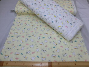 ˂Ƃ傤@/_uK[[Megumi Sakakibara