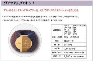 y݌ɏz_C ApJgm@2F肨iy_Cюz