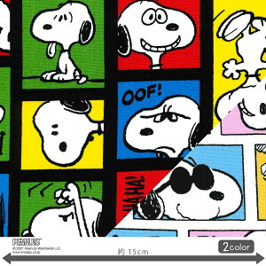 スヌーピー/フェイスコミック 【PEANUTS】