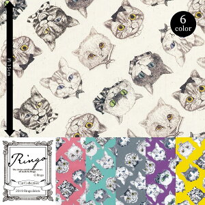 �l�R�Y�ENEKOS/�J�b�g�N���X�yRingo�z���������I