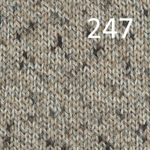 X^[cB[hyb`AzX^[cC[h@lCiX^[Ƀvg߂{āAfpȃhjS[̕\ɁB