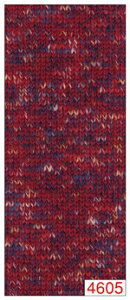 _CJ[iiDIA@CAROLINAjy_Chюz̏ȐF~bNXXũt@V[[