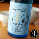 笑四季　Sensation　純米青ラベル生酒 日本酒