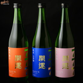 開運　Triple7 (トリプルセブン)　確変！大当たり飲み比べセット 日本酒