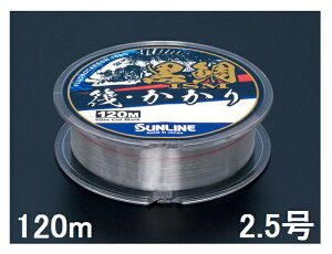 �T�����C��(SUNLINE) �t�����J�[�{�����C�� ����ISM ���E������ 120m�P 2.5��