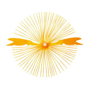 y5Zbg/NbN|XgznuT(Hayabusa) [HR215] W Jjo IW (M-SK)