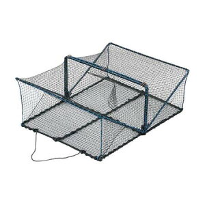 lc [AFA109] ԁEXJ JjEX