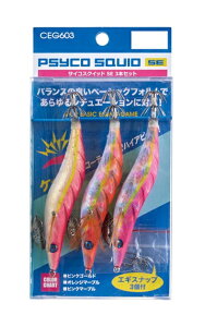 yNbN|Xgz lc A[ CEG603 TCRXNCbhSE 3{Zbg