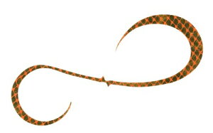 y5Zbg/NbN|XgznuT(Hayabusa) [SE188] t[XCh JX^VRlN^C oL[J[[_u LsJIW(M-SK)